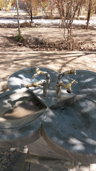 Photos of Farzaneh Garden