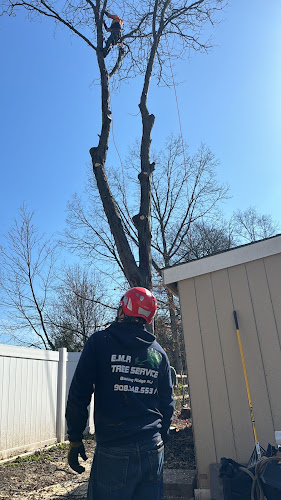 EMR Tree Service