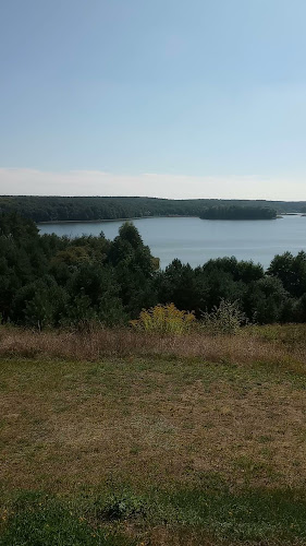 Opinie o Brzezina Resort w Chełmża - Hotel