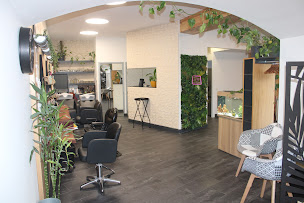 Photo n°3 de Les Têtes en l'Hair à Auch (Salon de coiffure)