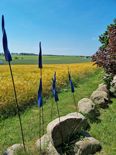 Mitt Österlen - Visual