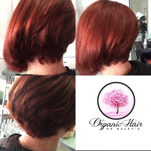 Organic Hair on Daleys - Thumbnail