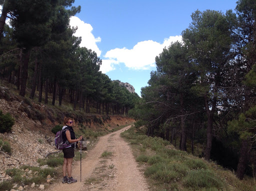 Recingle Alt (Serrella) Gallery - Spain