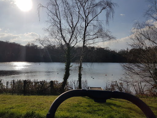 Decoy Country Park - Thumbnail