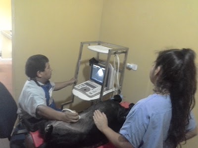 Photos of Veterinaria Tatus Pet