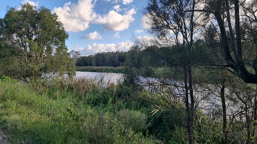 Coombabah Lakelands Conservation Area (Arundel section) - Thumbnail
