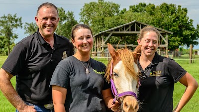 Twisted T Equine Dentistry