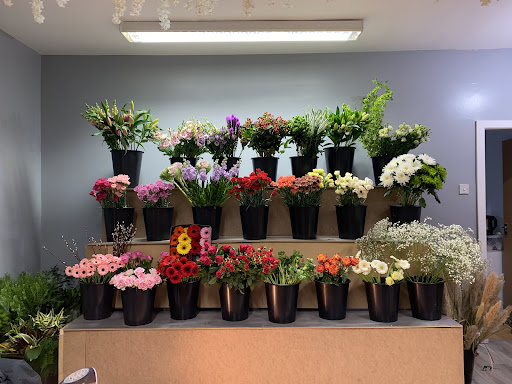 FlowerHaus - Visual