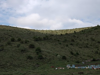 Mount İdris