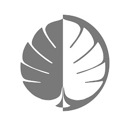 Photo n°9 de L'Opale Coiffure - Tours / Colorations végétales à Saint-Cyr-sur-Loire (Salon de coiffure)