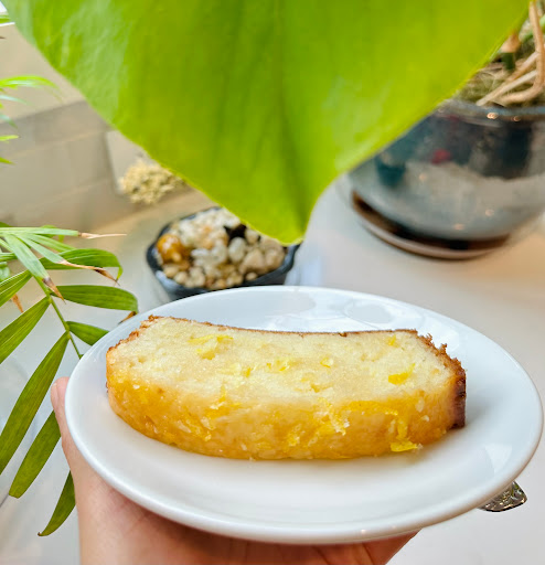 Wild Bloom Kitchen - Visual