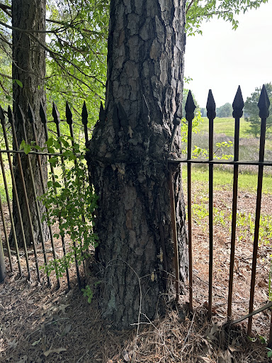Slave Cemetery - Visual