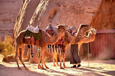 Photos of Bedouin Directions