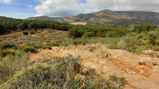 Oropesa - Visual