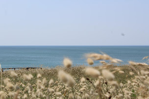Photo n°14 de Ma maison sur la côte à Saint-Gilles-Croix-de-Vie (Agence immobilière)