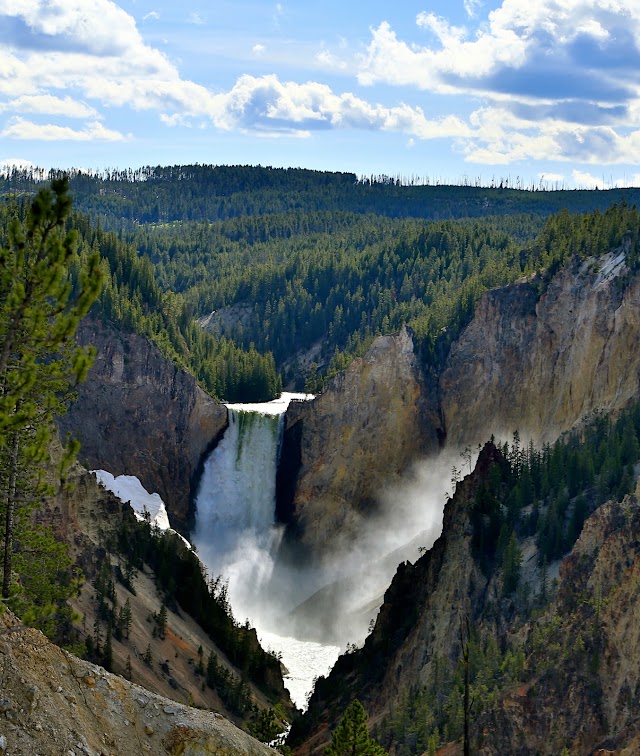 Lower Falls of the Yellowstone