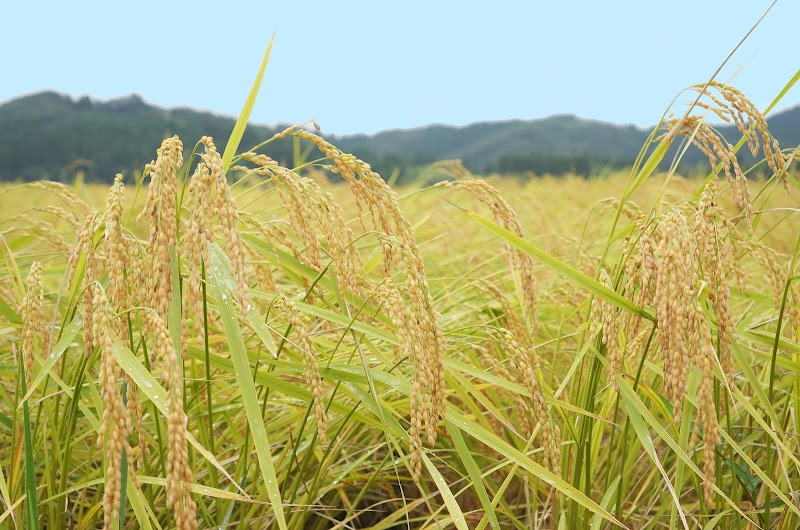 ライフデリ泉南・阪南・岬店