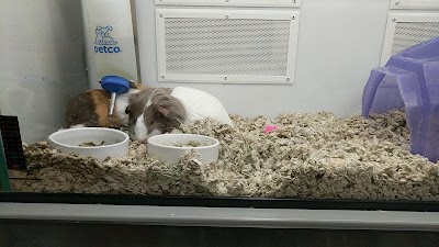 Petco