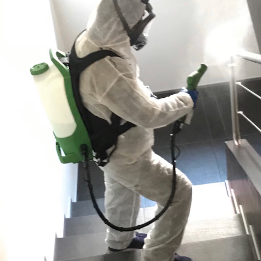 SAFA Cleaning - Thumbnail