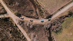 Photo n°7 de 4x4 Camargue Safari Tours ou en 2cv Deudeuches Camarguaises à Saintes-Maries-de-la-Mer (Parc animalier et safari)