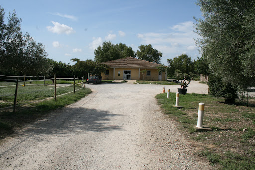 Veterinary Clinic Medianimal - By appointment in the morning - Thumbnail