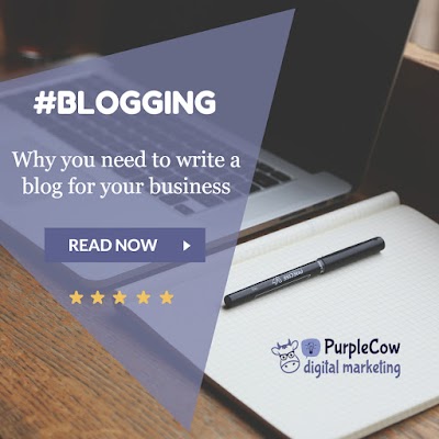 Photos of PurpleCow Digital Marketing