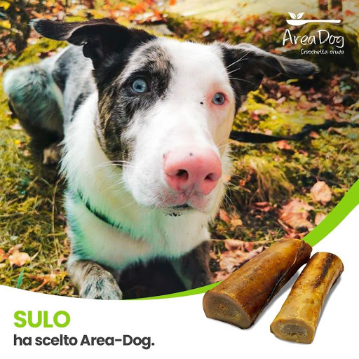 Area-Dog - Visual
