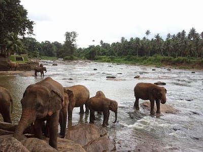 Photos of Dimuth Travels & Tours
