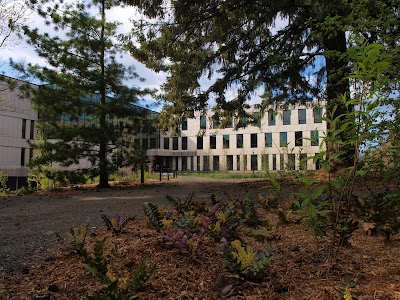 College of Forestry