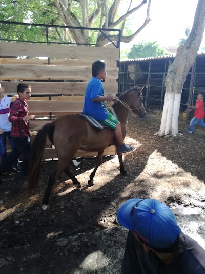 Photos of Plaza de Ferias