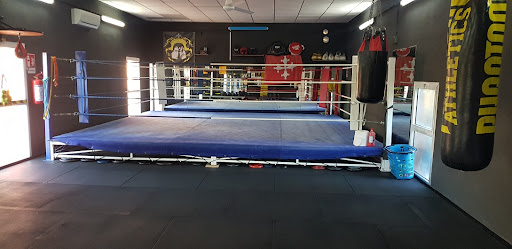 ASD Boxing Team San Giuliano Terme - Thumbnail