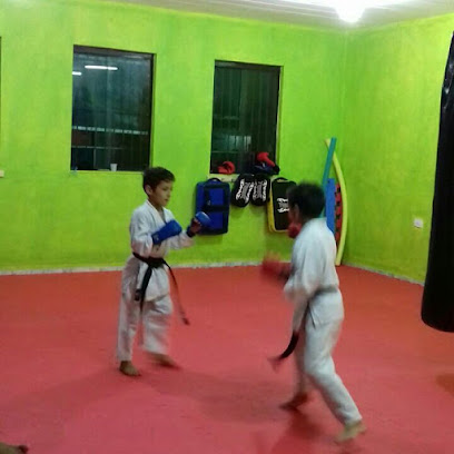 Centro de treinamento Nogueira