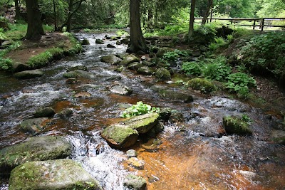 Photos of Tourist-Information Schierke