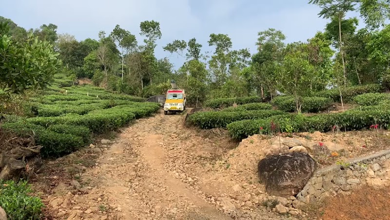 ヨギ総合研究所