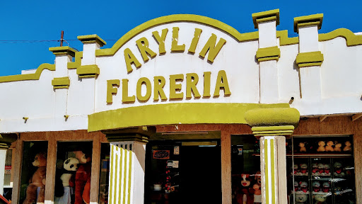 Florería Arylin - Visual
