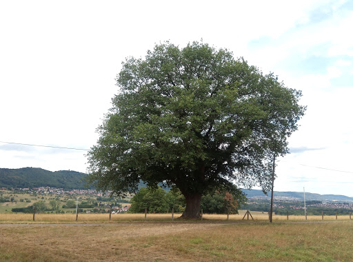 Air et Vie - Thumbnail