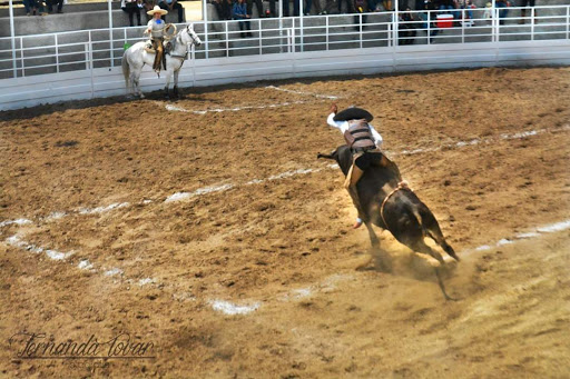 Lienzo Charro Santa Rosa - Thumbnail