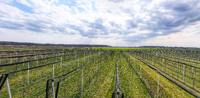 Poljoprivredno-šumarska škola - Vinkovci