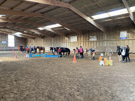 Équitation Mers-Les-Bains - Thumbnail
