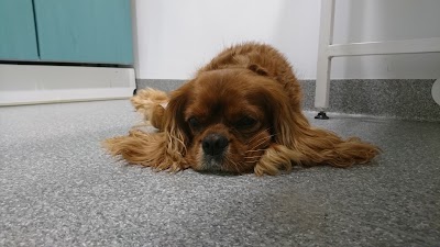 Photos of Maxi Veterinary Clinic