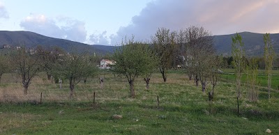 Kilise Kalıntıları