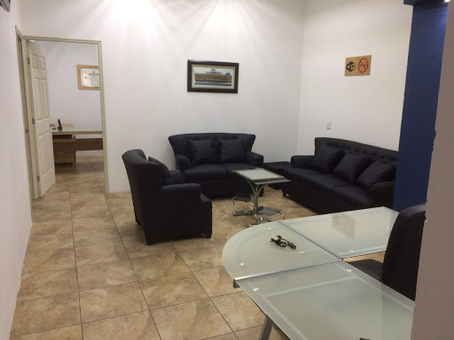 OCCIMEDICAL - Visual