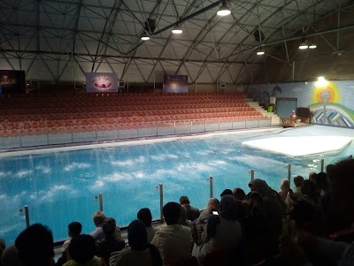 Photos of Milad Tower Dolphin Park