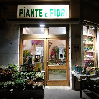 Piante E Fiori da Ersilia e Rita