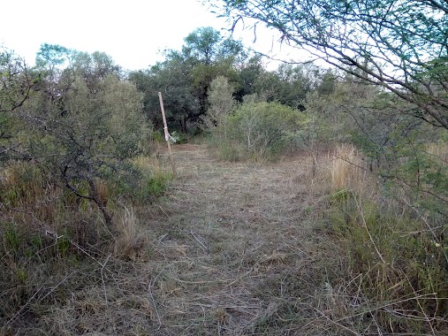 Paseo de los Pájaros, Author: Sergio Borghetti