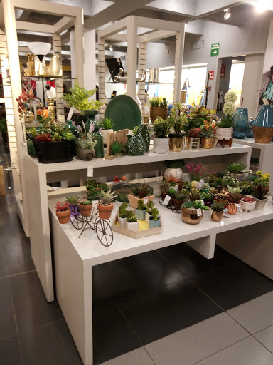 Coppel Museo - Thumbnail