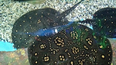 Photos of Ningbo Ocean World