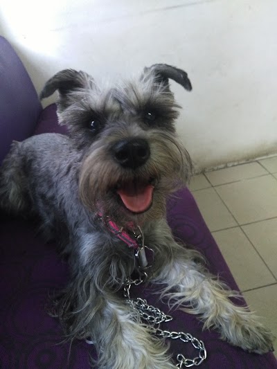 Photos of Bustamante Park Veterinary Clinic