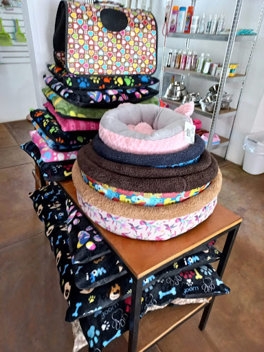 Patachu's - Visual