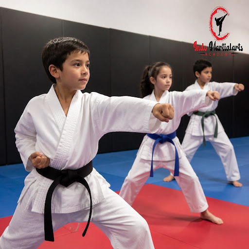Curious about martial arts but not sure where to start? Indo Martial Arts Academy in Palam Vihar,… post image